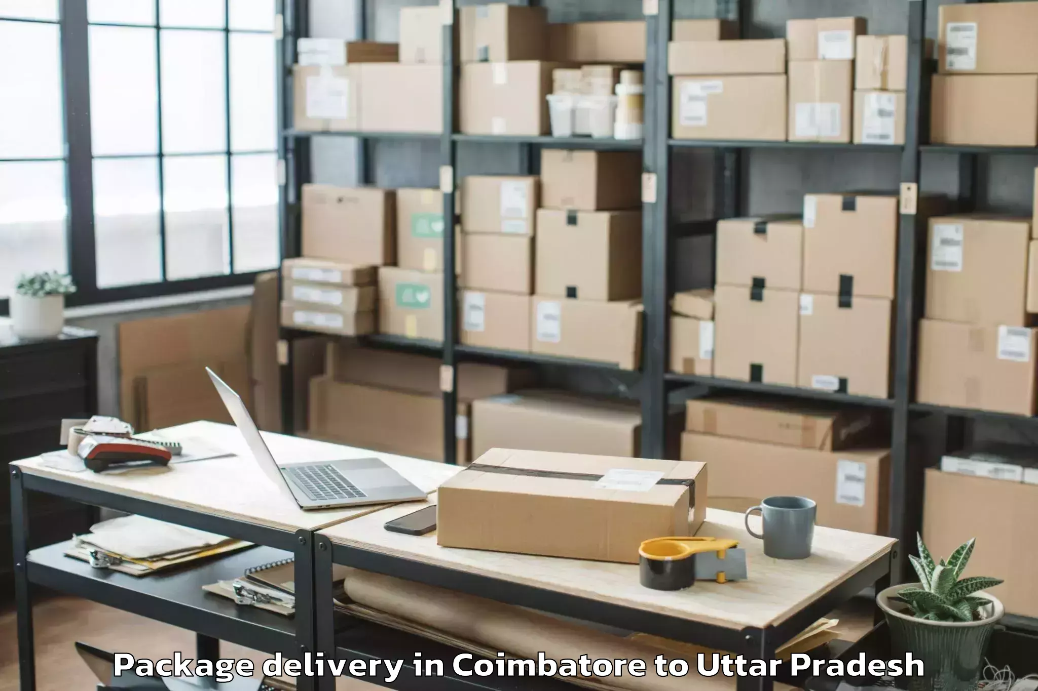 Reliable Coimbatore to Gla University Chaumuhan Package Delivery